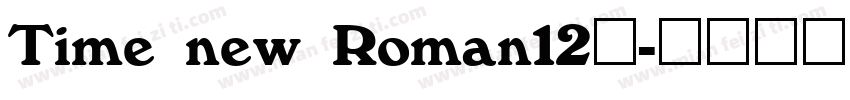Time new Roman12号字体转换